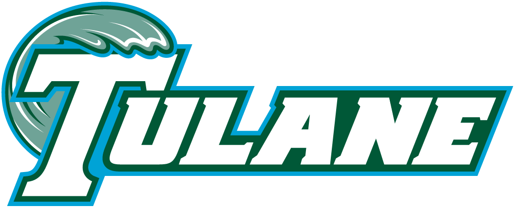 Tulane Green Wave 1998-Pres Wordmark Logo v5 diy DTF decal sticker